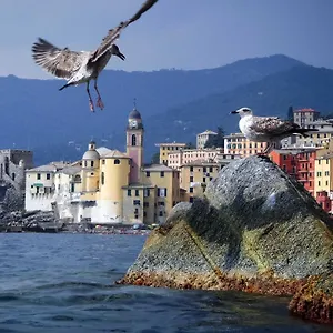 Il Veliero Apartment